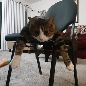 Fundraising Page: Michelle Moore